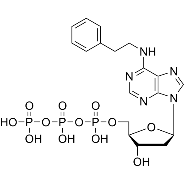 6-PhEt-dATP 1239610-11-7